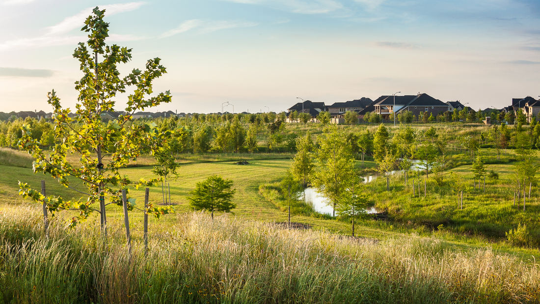 休斯顿克罗斯克里克牧场-5