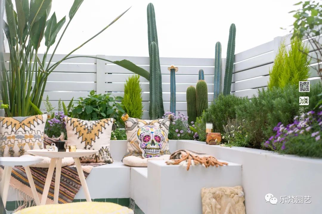 媚媚猫咪的摩洛哥阳台花园丨乐梵园艺-26