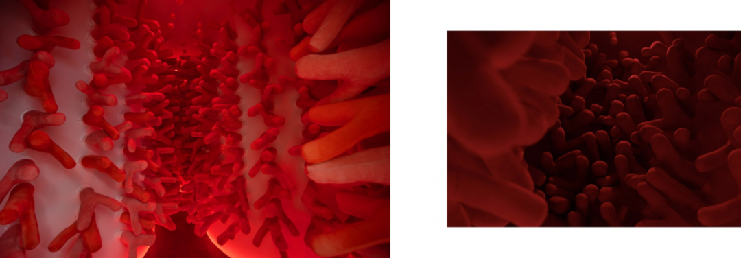 科兴北京展厅丨中国北京丨VAVE Studio 翡梧-118