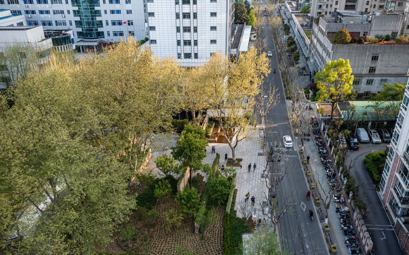 和平公园六号门暨天宝路入口更新改造，上海 / 致正建筑工作室-5