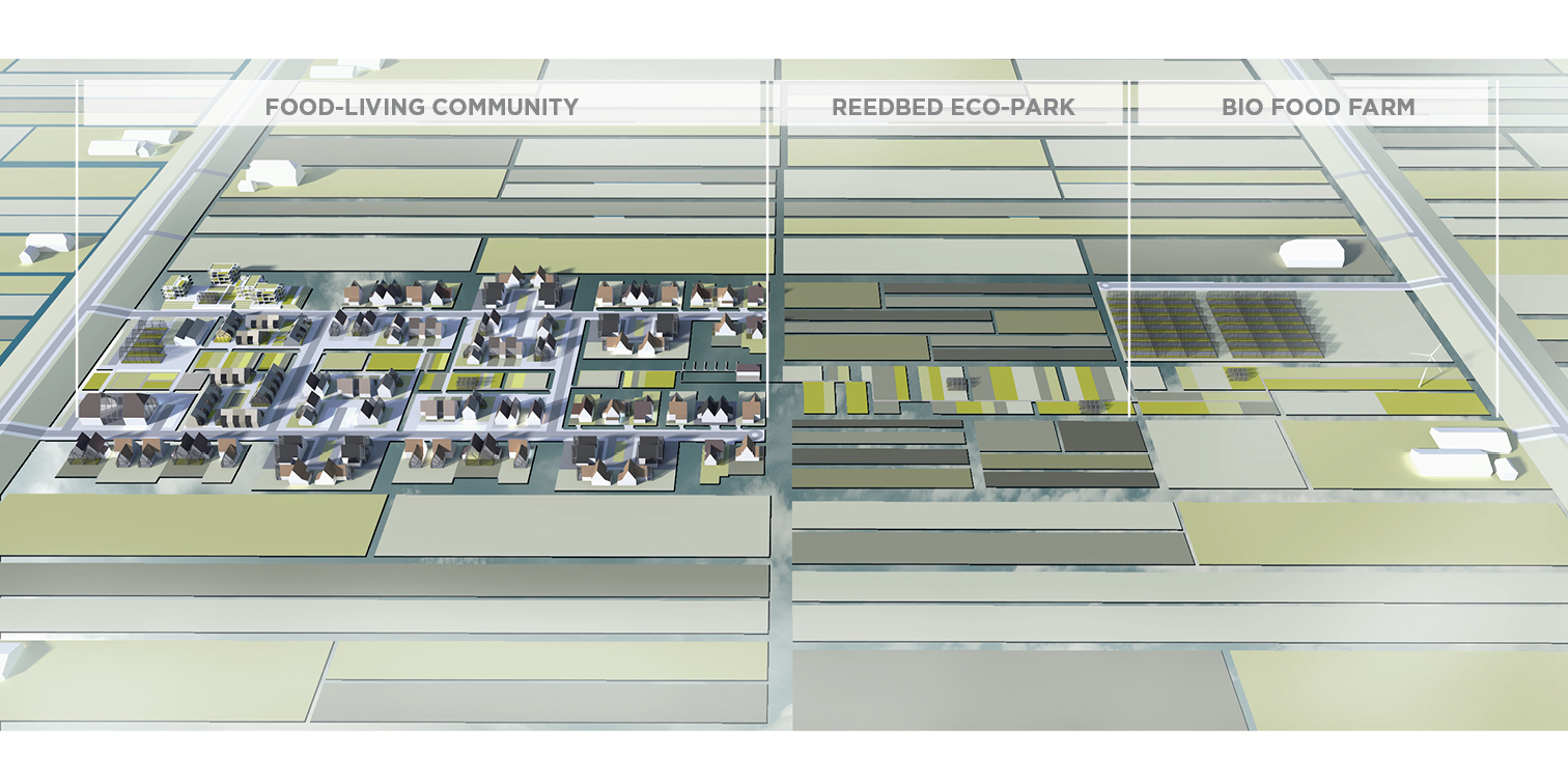 荷兰圩田模式 · 郊区生活与生物农场社区的弹性共生-13