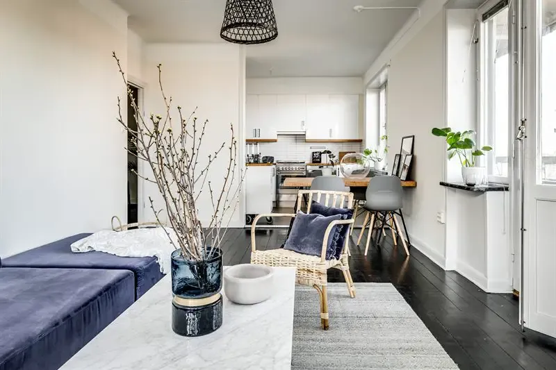 自然元素装点的瑞典城市公寓-4