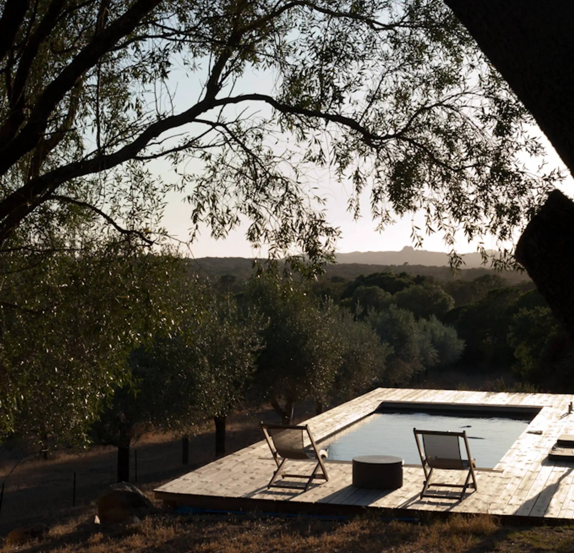 塞杰（Sajé）-20