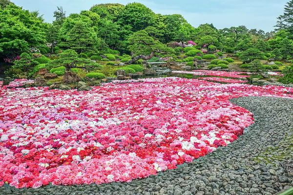 由志園丨中国松江-12