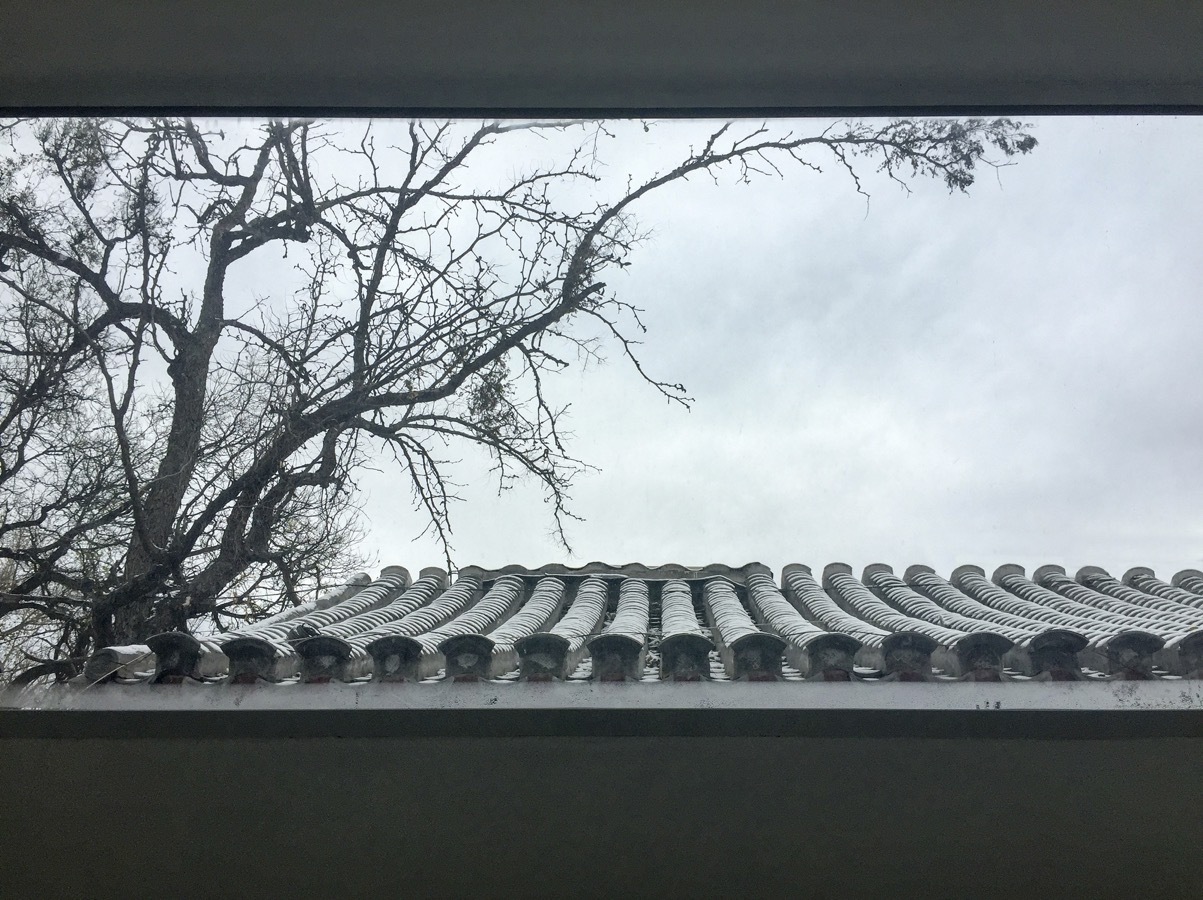 共享庭院中的 66 号兰曼胡同改造-35