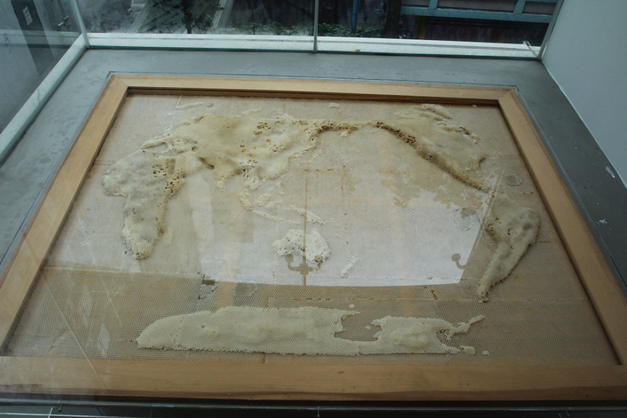 元塑系列作品 · 任日与蜜蜂的共生艺术-53