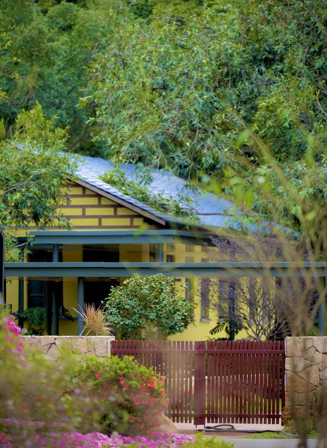 十一赏景别错过！华南国家植物园[绿美广东物种展示园]-71