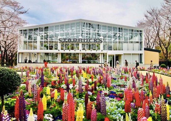 全球最美星巴克,花店、水族馆、百樱共赏-1