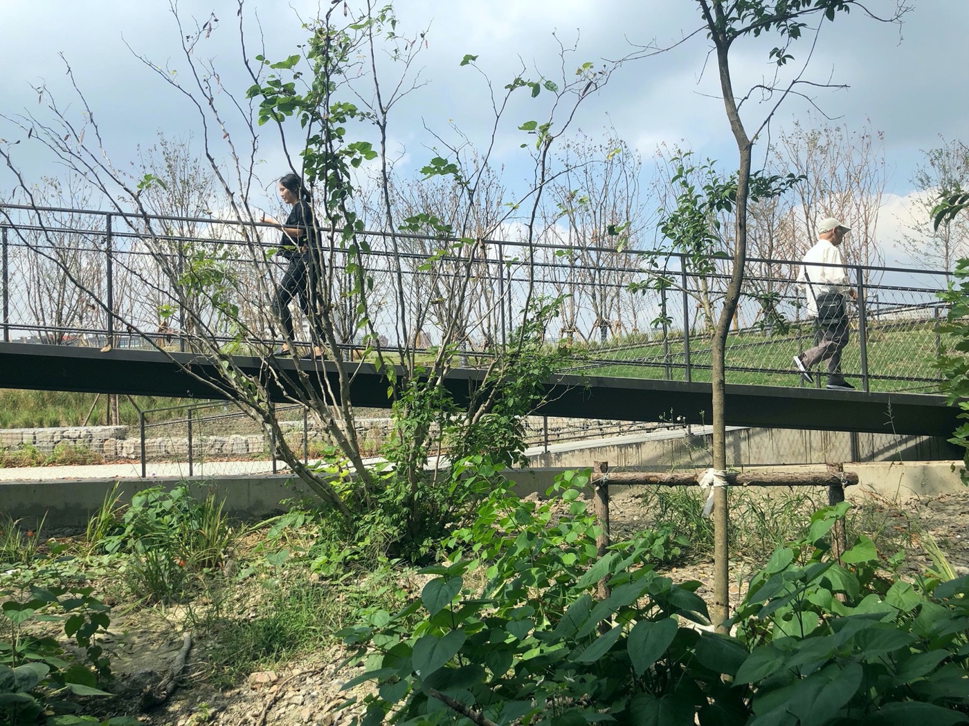 Edge Garden 景观设计丨中国上海丨YIYU-33