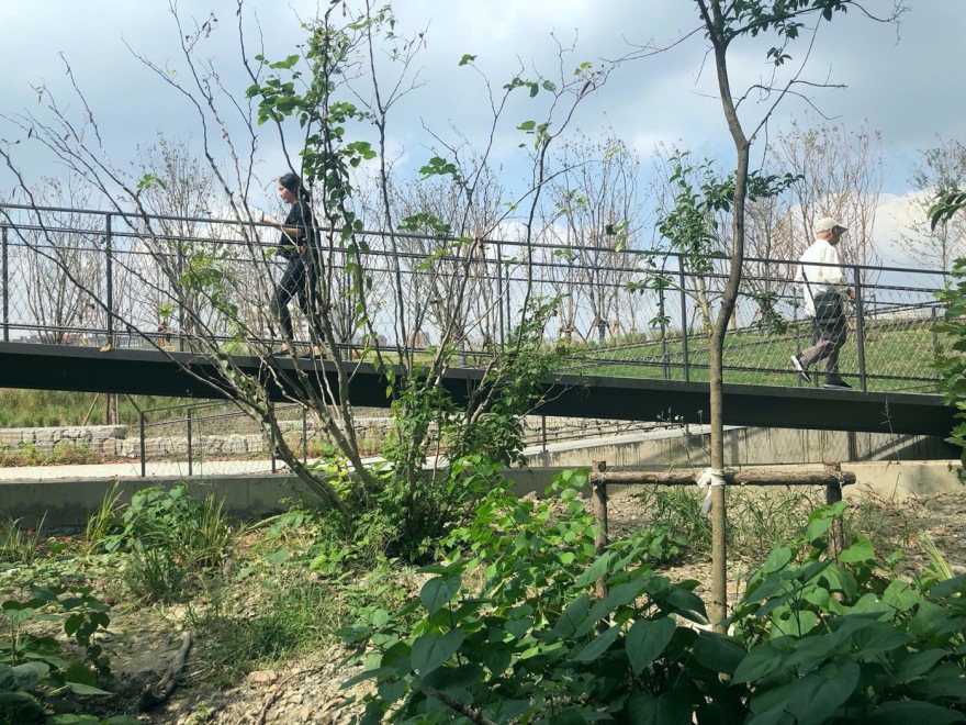 Edge Garden 景观设计丨中国上海丨YIYU-33