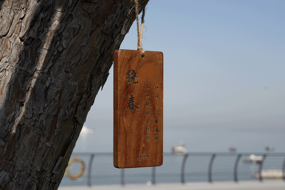 松林浪屿,海岸逐光丨青岛 · 云上观海-113