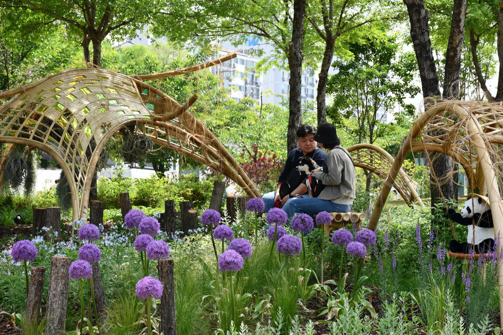 2024首尔国际花园展·生物自组织花园丨韩国首尔丨中国美术学院+中国美术学院风景建筑设计研究总院有限公司+沈实现工作室-9