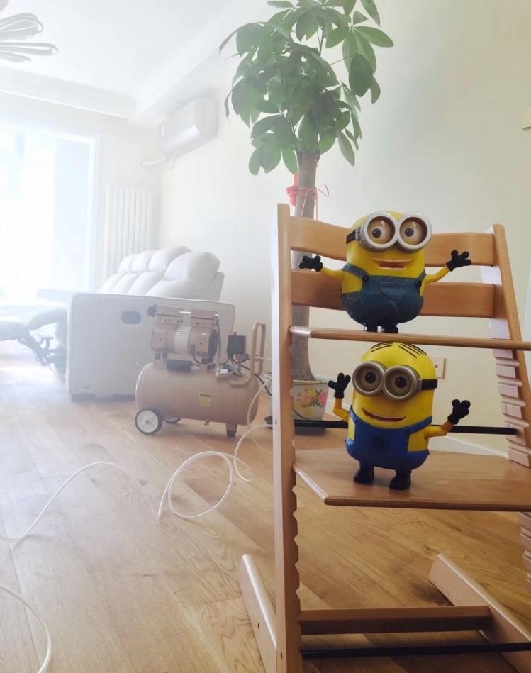 打造自然和谐空间 | 知名设计师的负氧离子居室设计-4