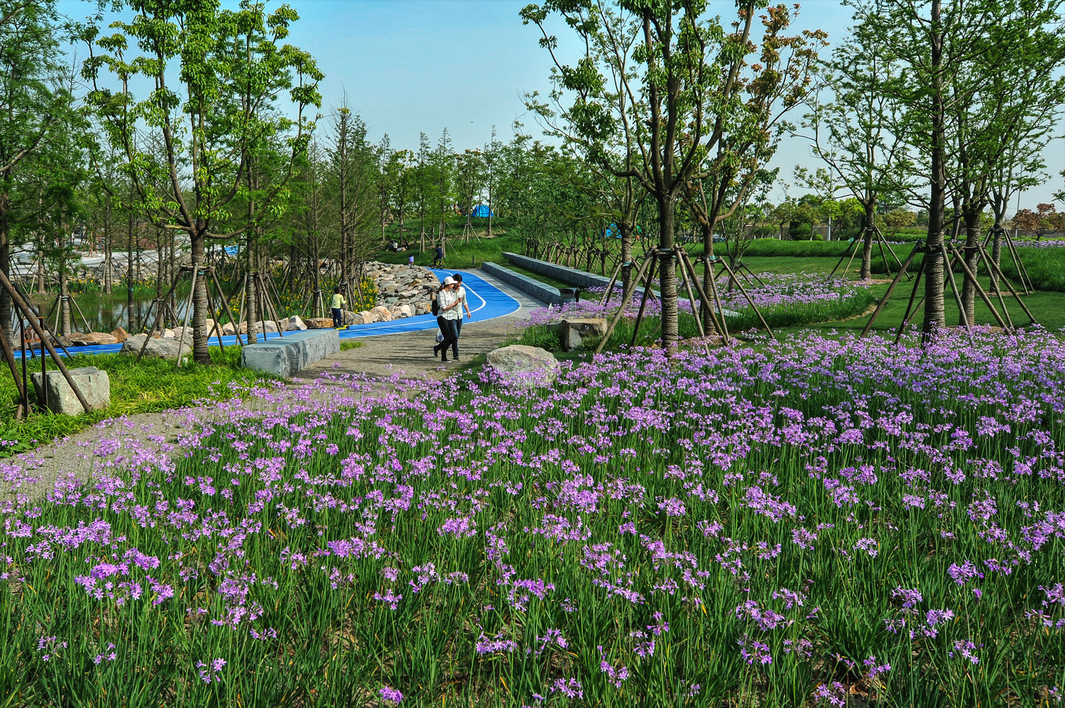 上海临港港城滴水湖绿色带线性公园-28