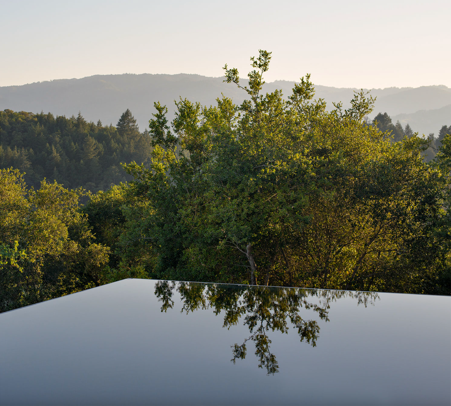 青苔石丨美国加利福尼亚丨Ground Studio 与 SwattMiers 合作-61