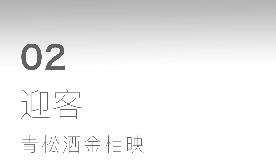 中建·龍宸壹號丨中国常州丨WJID-12