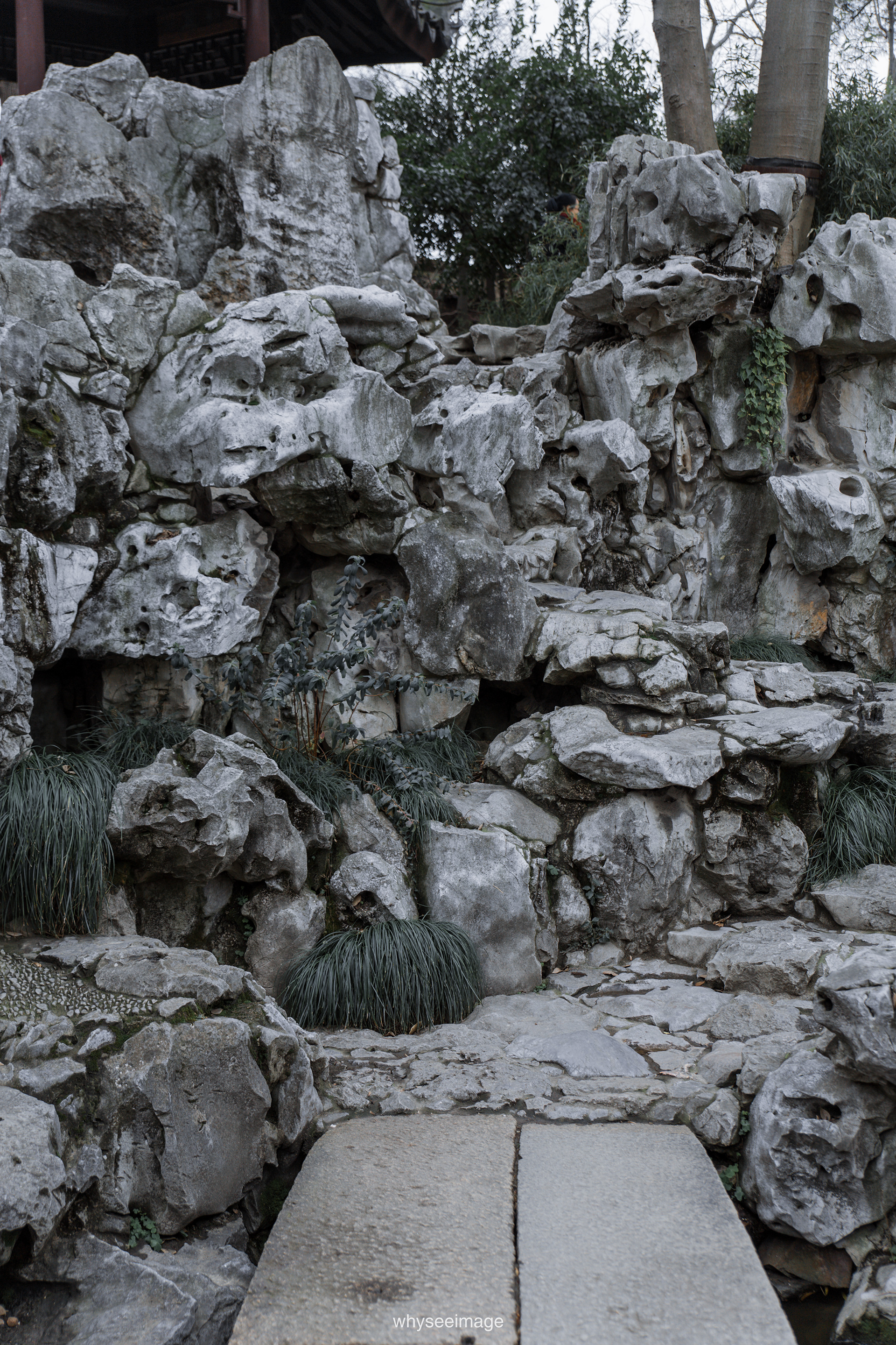 艺圃 Garden of Cultivation丨中国苏州丨whyseeimage-76