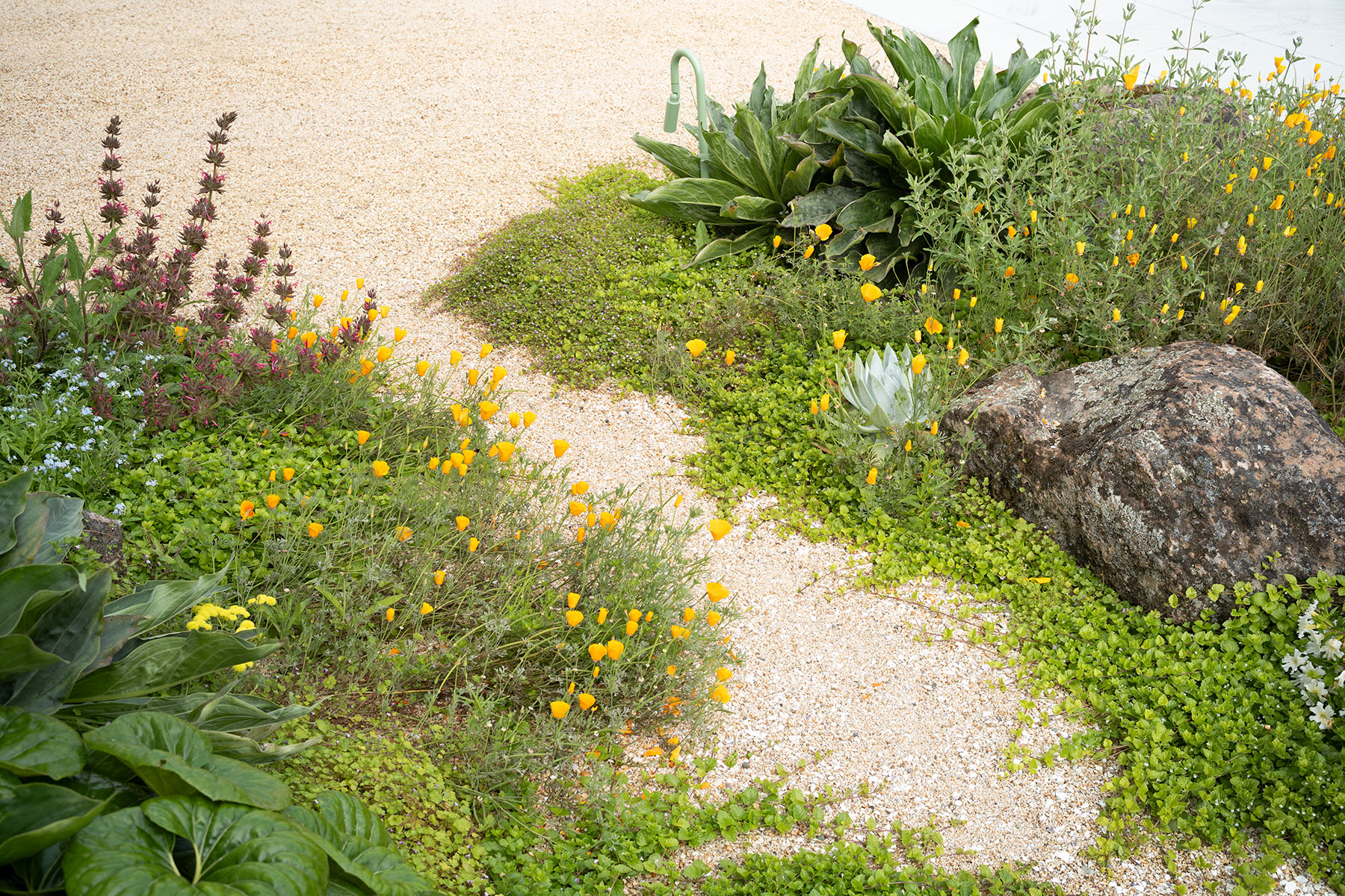 身边风景 | Soft Studio-13