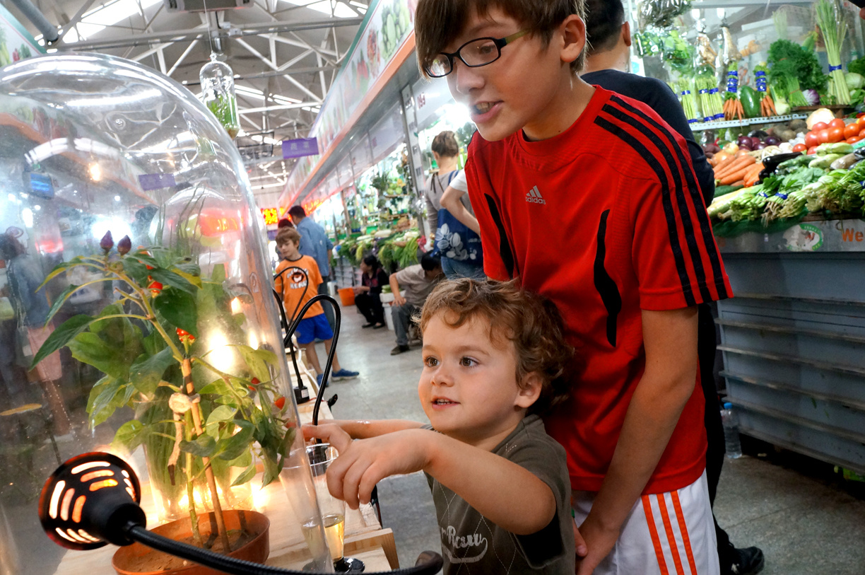 菜市场的艺术革命 | 空间利用与生活美学-51