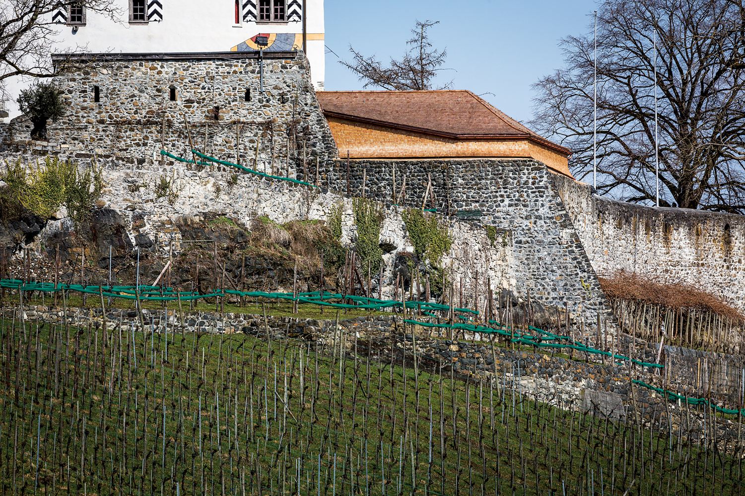 瑞士韦登堡城堡翻新及扩建-38
