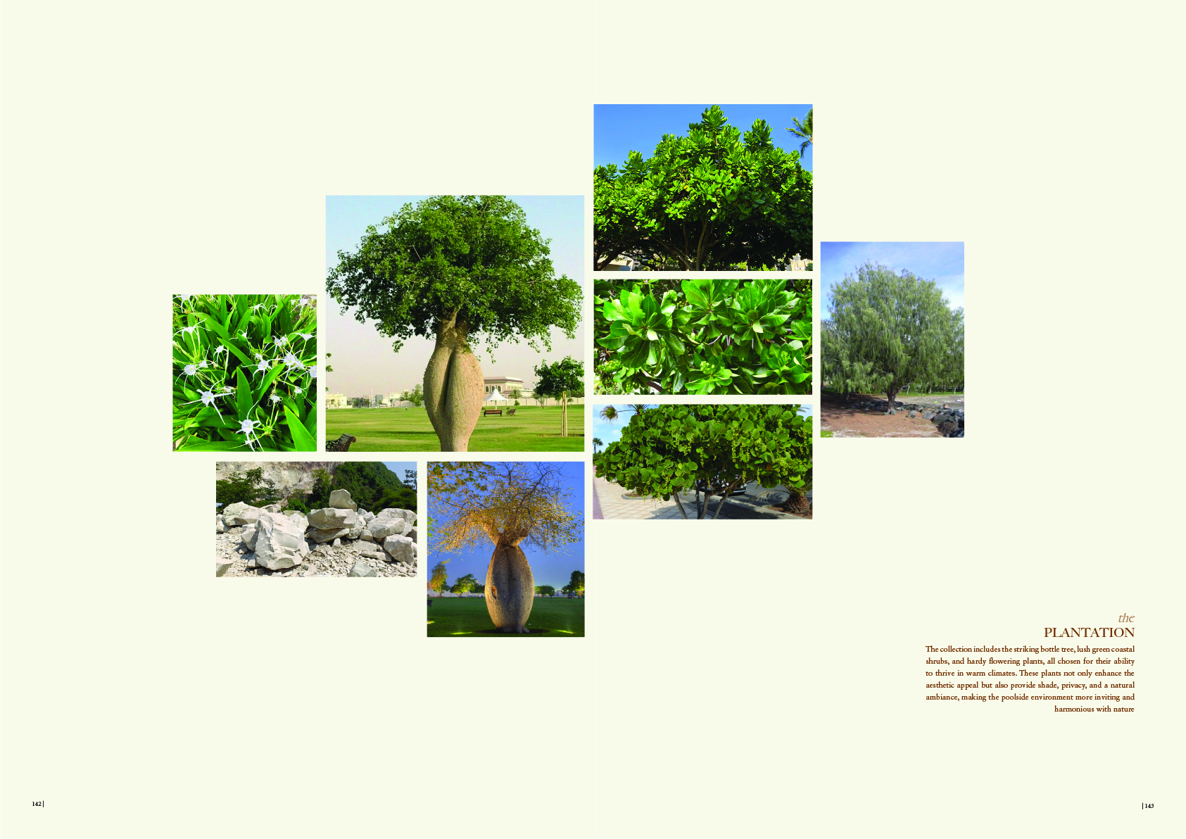 酒店景观丨印度尼西亚巴厘丨作者与同事Narindra,Ayu-40