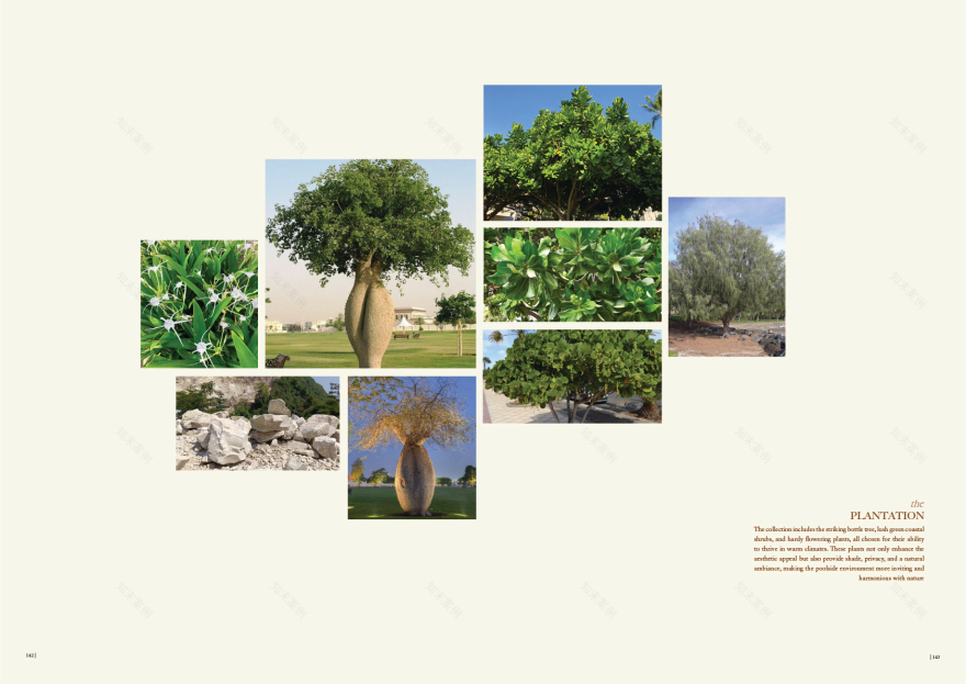 酒店景观丨印度尼西亚巴厘丨作者与同事Narindra,Ayu-40