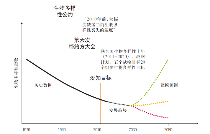 自然生态所的生物多样性保护之路-56