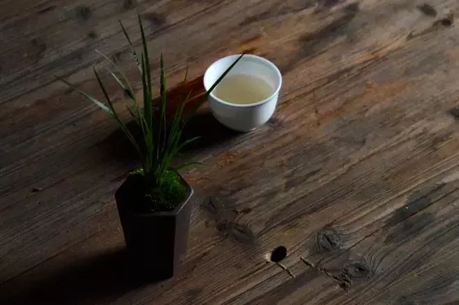 水中翠绿的诗意 | 菖蒲在园林设计中的应用-17