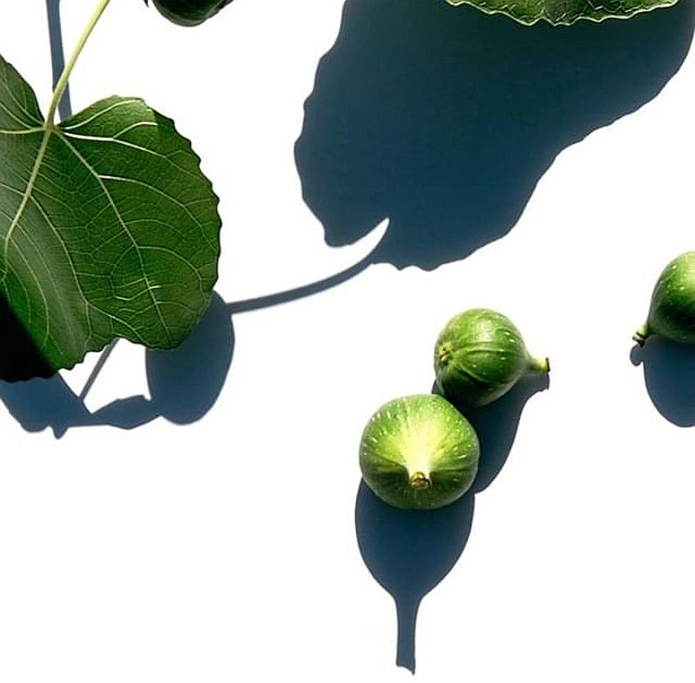 温哥华绿色无花果美容店,自然奢华之美-5