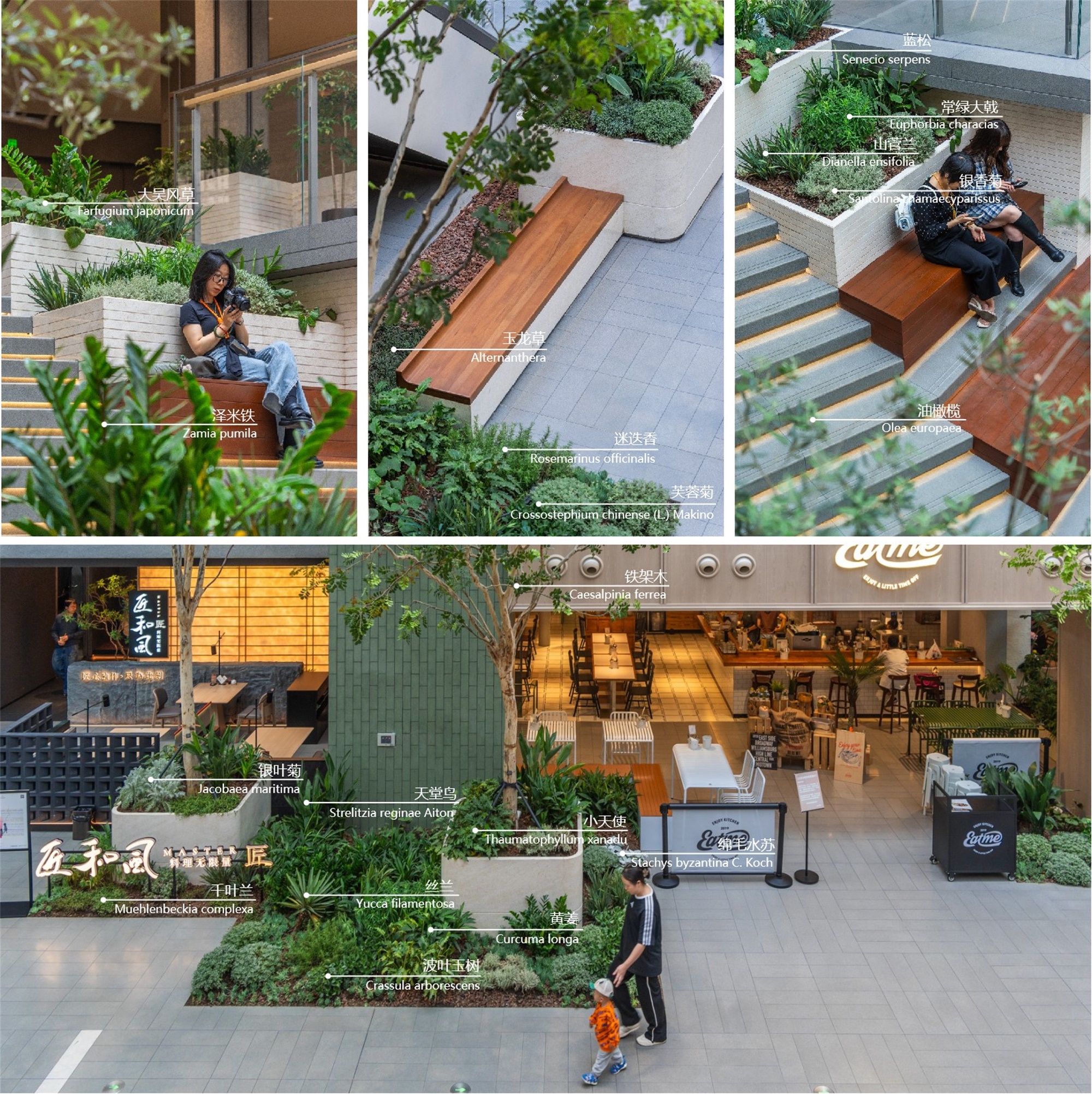 重庆龙湖北城天街B馆L4层室内景观营造丨中国湖北丨物候设计（重庆物候景观规划设计有限公司）-51