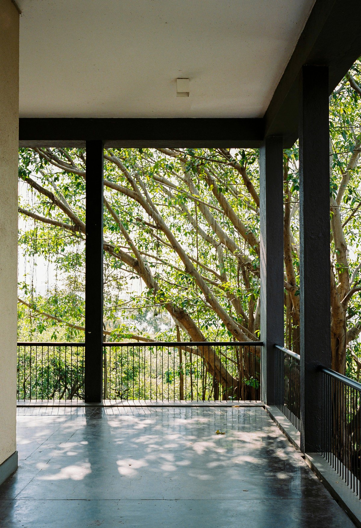 Kandalama 酒店丨斯里兰卡丨Geoffrey Bawa-3