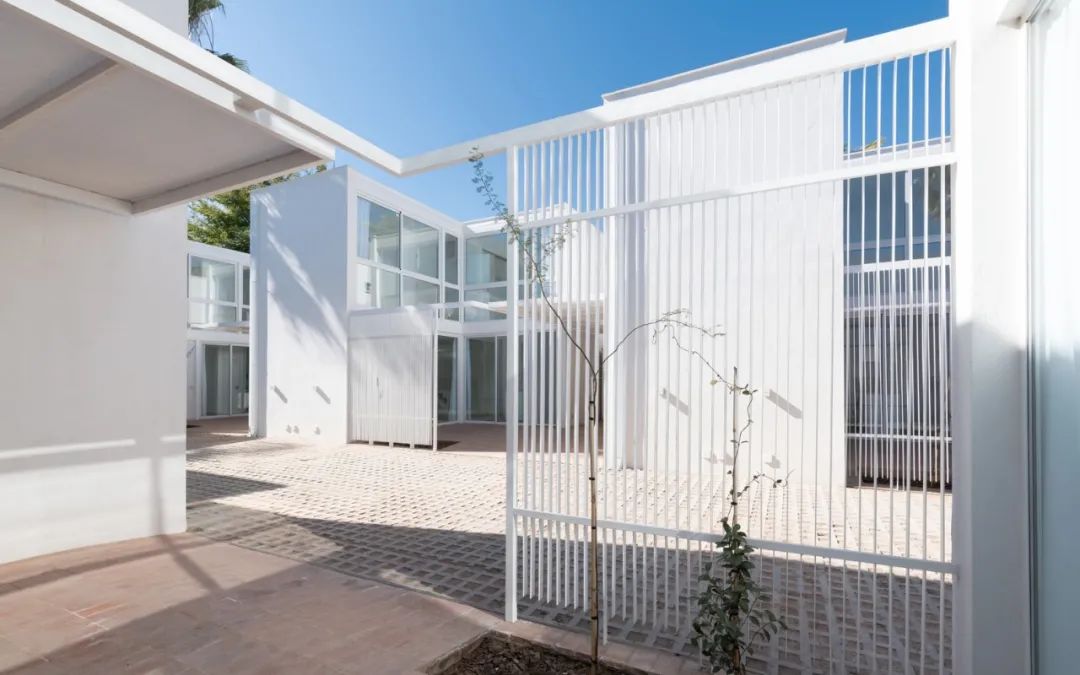 杜鹃花住宅区 | 600 平方米的单户住宅体验-40