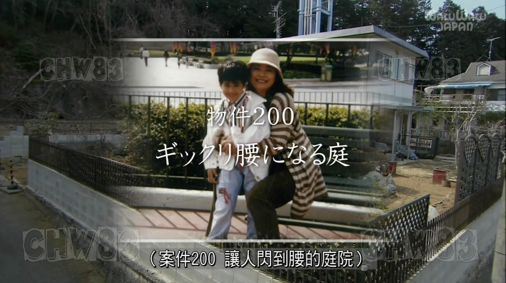 废墟庭院,漏水露台花园改造丨日本大阪丨金井良一-12