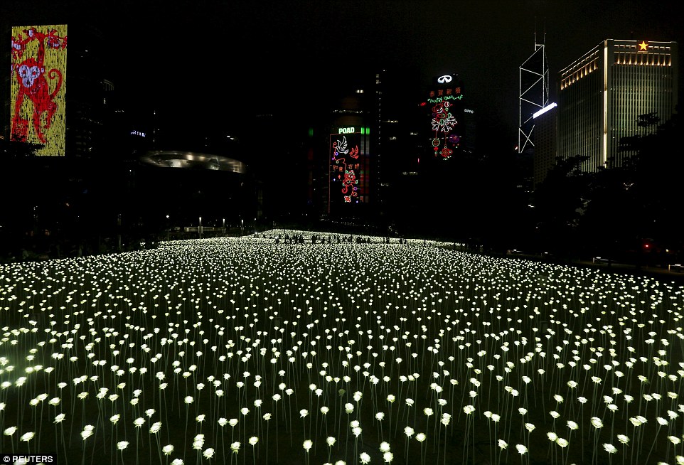 Light Rose Garden HK 玫瑰灯海园 – 香港站-25