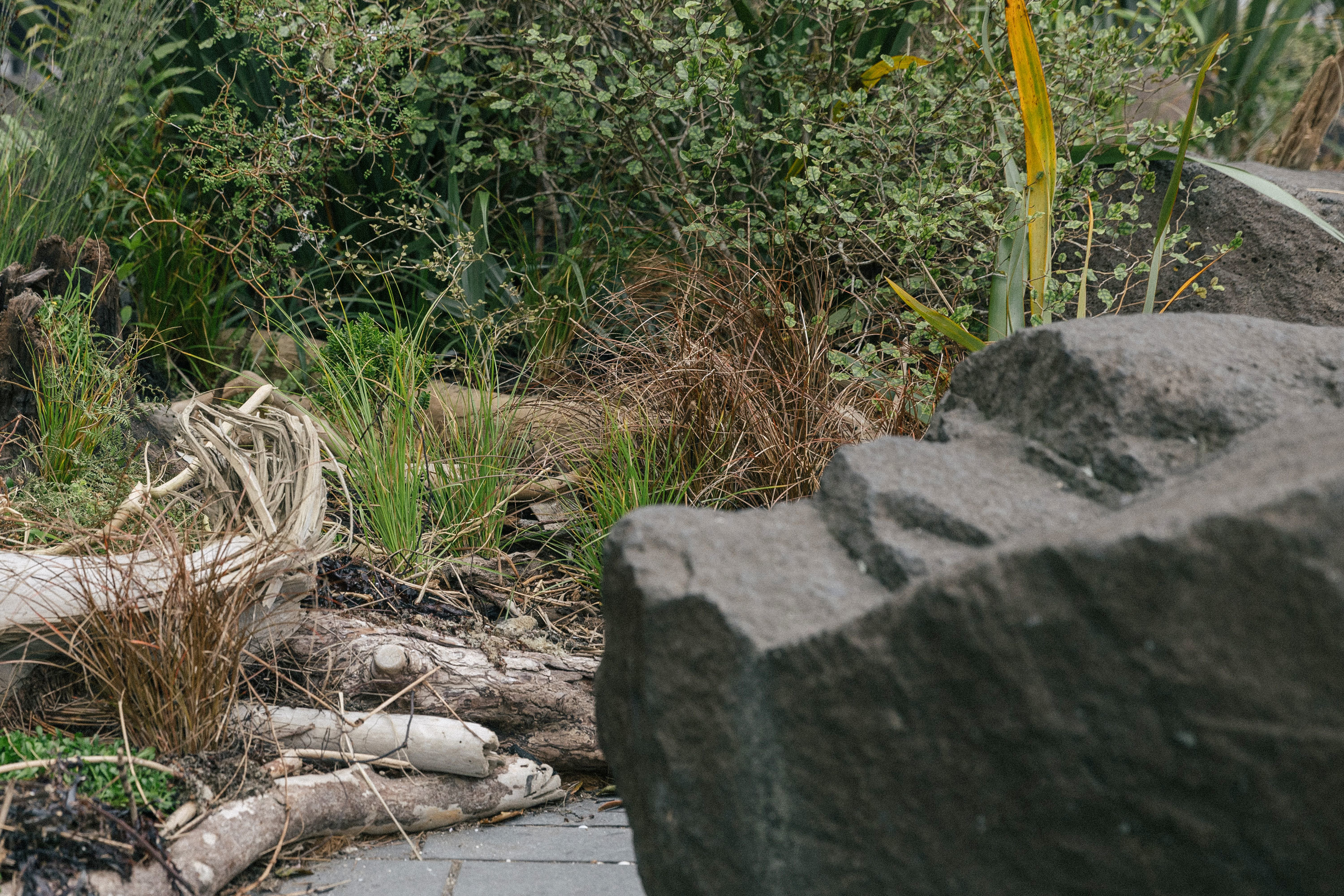 Maggie Marilyn - Xanthe White Design-28