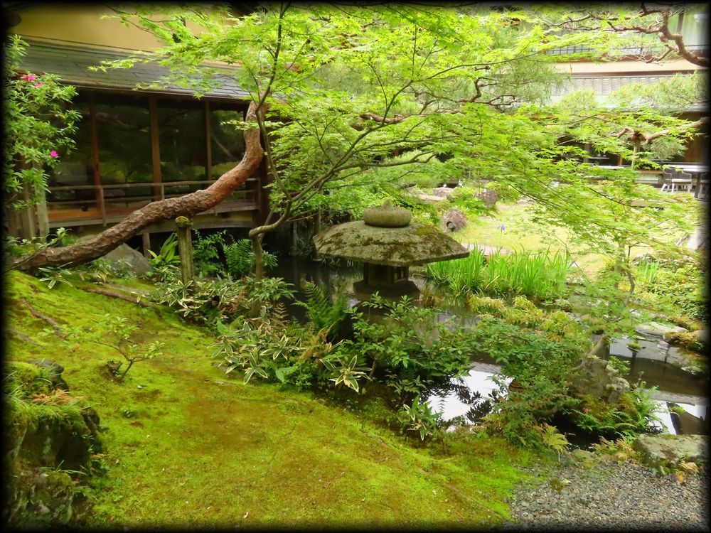 南禅寺参道菊水·红叶之庭园丨七代目小川治兵衛-67