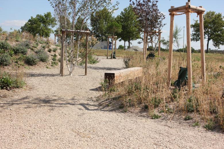 演替中的公园景观丨奥地利-8