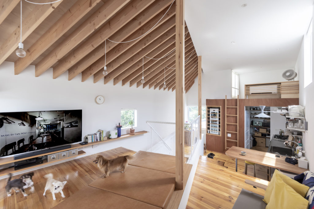 対角線上にゆるやかな階段が通る家 ５匹の犬たちとともに伸びやか、おおらかに暮らす | Architecture | 100%LiFE-3