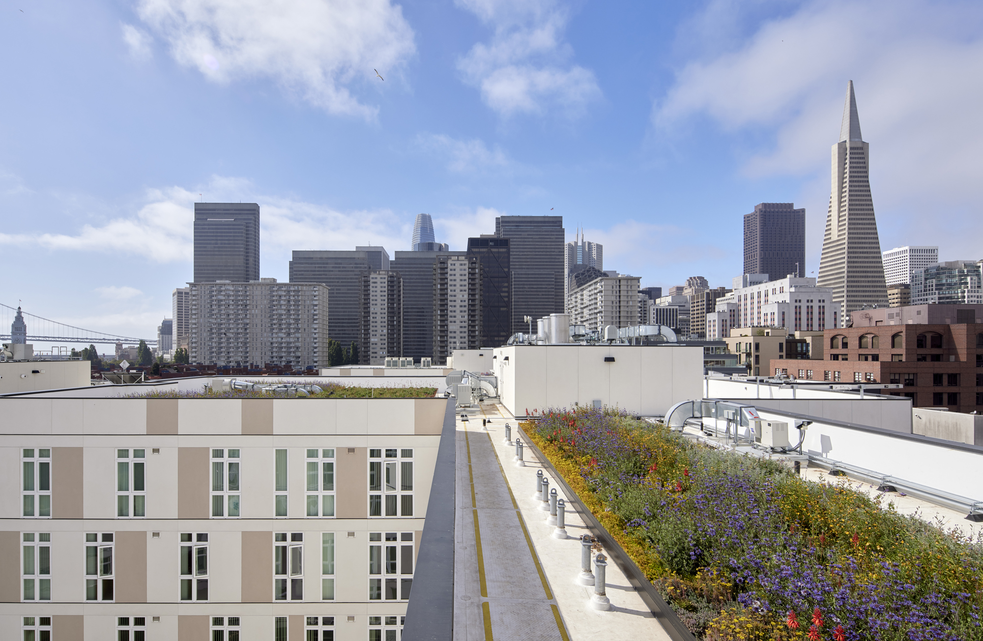 百老汇湾丨萨尔瓦多滨海丨LMSA 建筑事务所-41