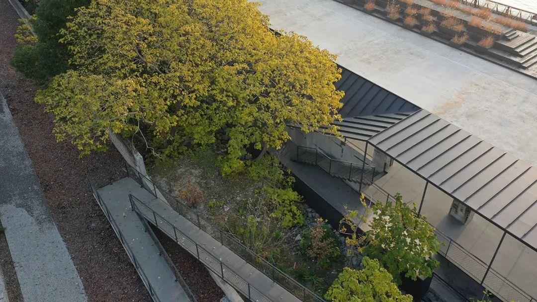 杨树浦六厂滨江公共空间更新·边园丨中国上海丨致正建筑工作室,刘宇扬建筑事务所,大舍建筑设计事务所-16