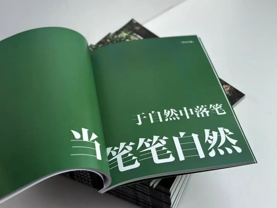 未名新作|山野有乾坤都市藏鲲鹏-深圳山海连城计划罗湖区东湖公园郊野径-莲塘口岸线-210