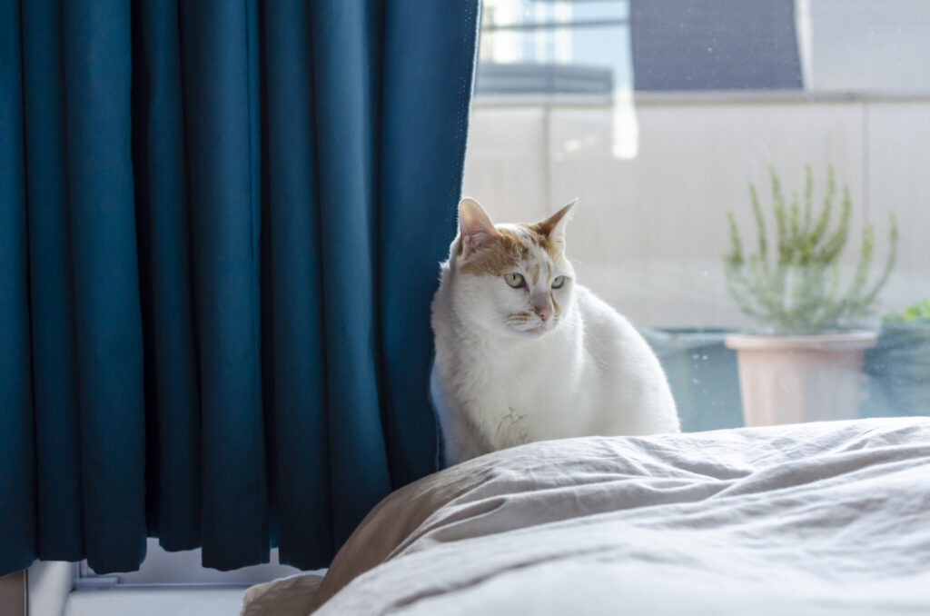 “路地庭”と“屋根庭”のある家　吹き抜けの窓を開けると心地の良い半屋外空間に | Architecture | 100%LiFE-13