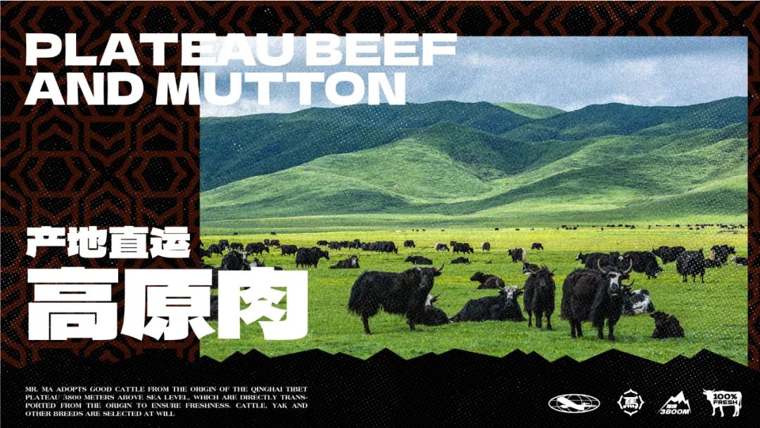 去野日报 | 马小火·高原现卤牛肉拉面-8