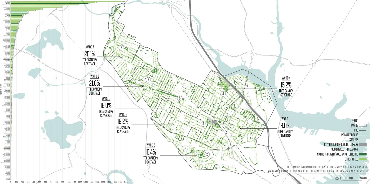 萨默维尔授粉昆虫行动计划丨美国丨Offshoots,Inc.-21