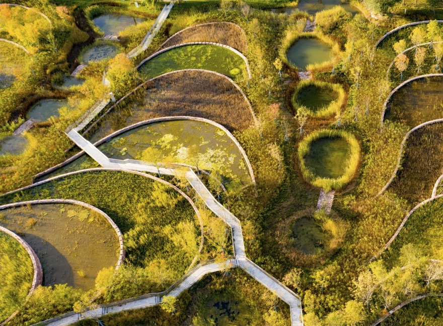 西安雁南公园(二期)丨中国西安丨土人设计(Turenscape)-109