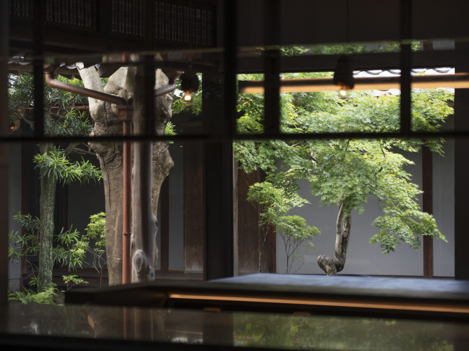 石の庭 · 舸子１７６丨Kazuya Sasaki(smallclone)-6