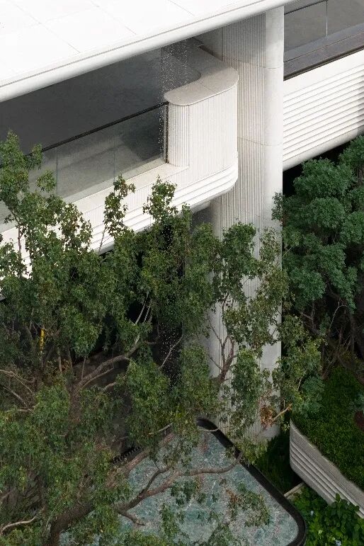 海派艺术生活演绎|金茂泮湖满庭-45