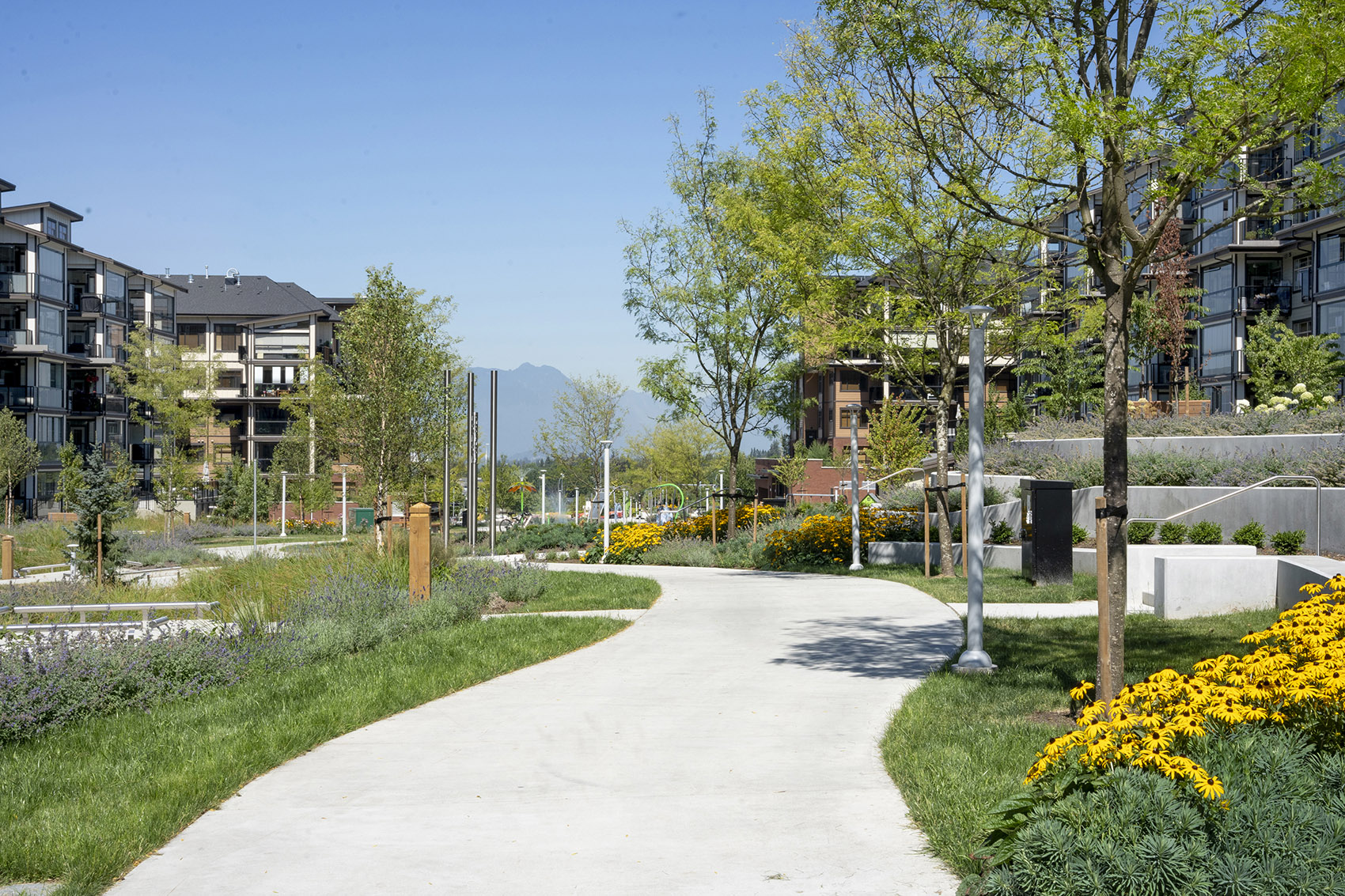 Carvolth 综合开放空间Goldenview 公园丨加拿大丨PMG Landscape Architects-13