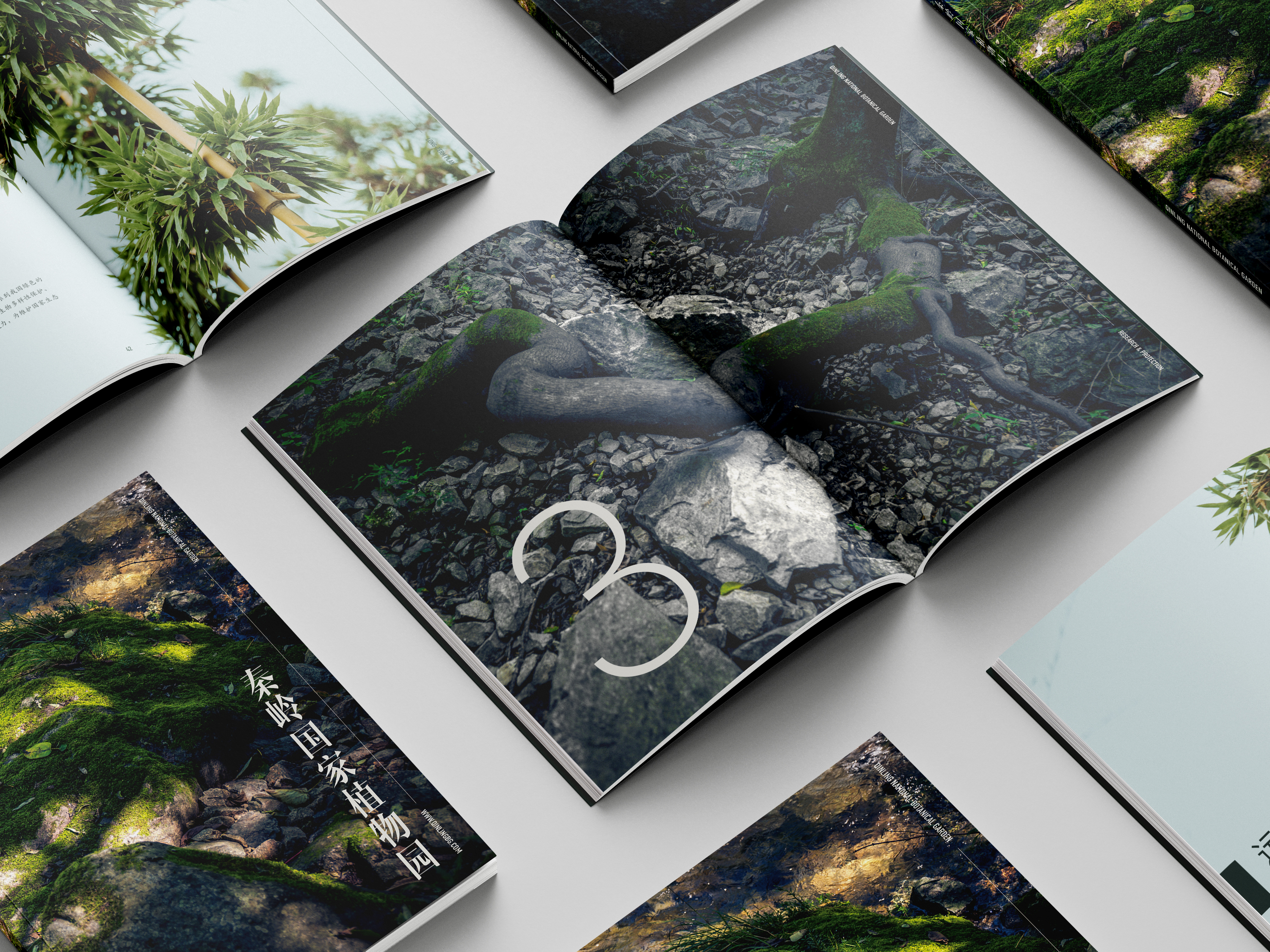 秦岭国家植物园摄影及宣传册设计丨美格锐西安办公室-0