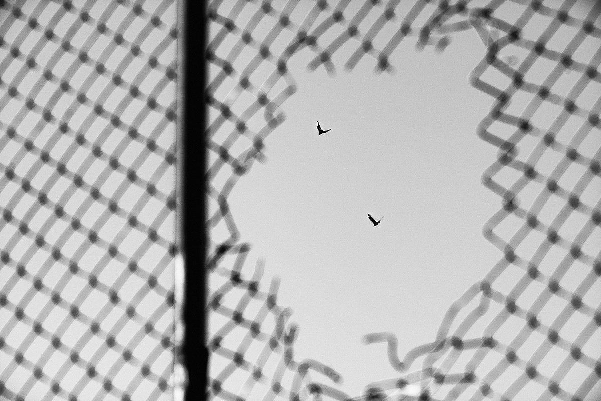 巴西利亚极简主义设计案例丨巴西巴西利亚-9